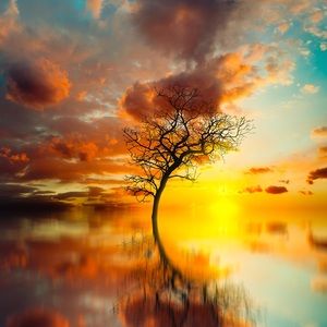 Meet your Posher, Kris